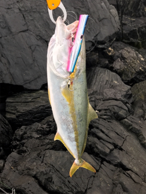 ショアプラッキング