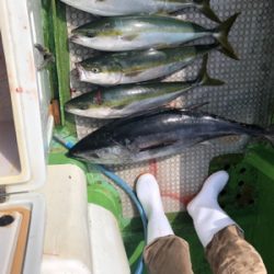 孝洋丸 落とし込み&飲ませ