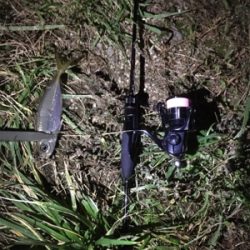 サイズは小さい