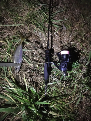 サイズは小さい