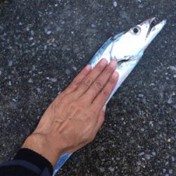 激シブなのでオクトパッシング