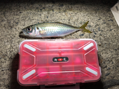 小潮、小雨、どうなの？