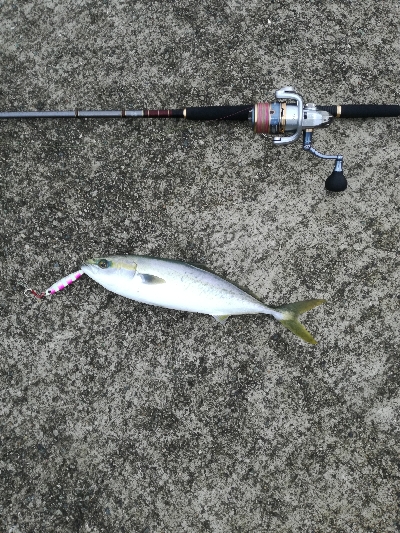 ベイトは多いが