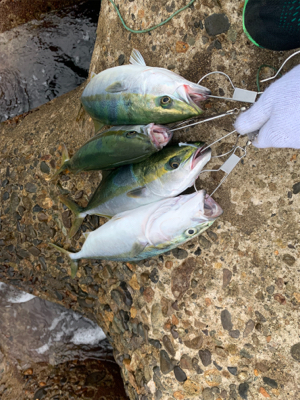 リミットメイク③