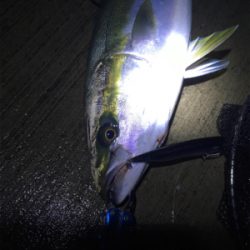 有給使っての釣行!