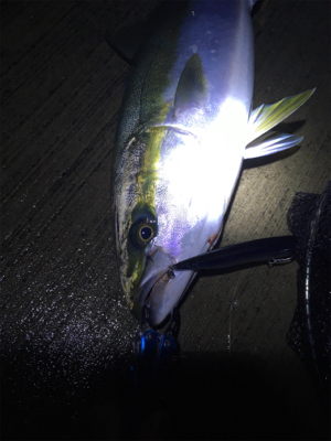 有給使っての釣行!