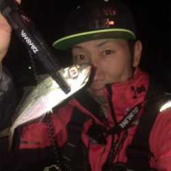 アジングフィーバー☆GUNNING-STYLE