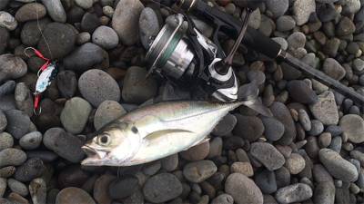 ライトショアジギング