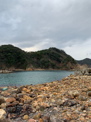 仕事終わりアジング