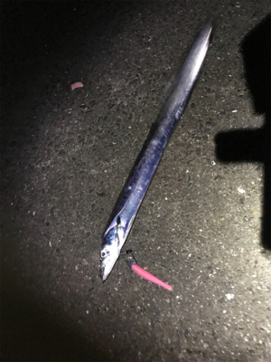 渋い日でした〜