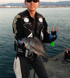 岸和田沖の北チヌ好調！