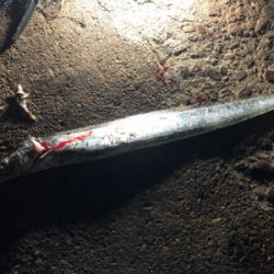 タッチ〜ご機嫌斜め⁉️