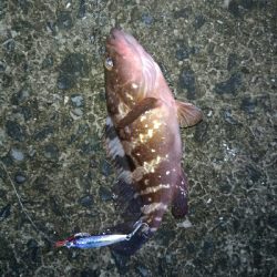 チャンスは足下にある！