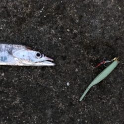 イッパッチCUPにて