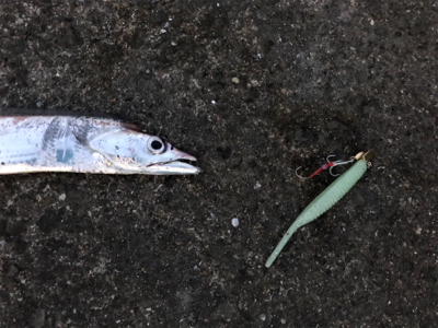 イッパッチCUPにて