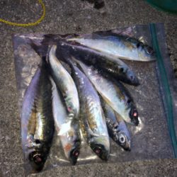 尺までもうちょっと