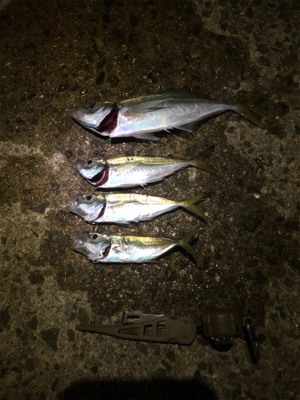 豆アジポツポツ