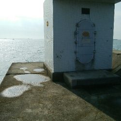 ライトショアジギングでグチ!