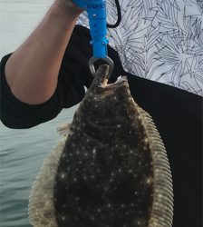 タチウオ、その他ショア ジギング