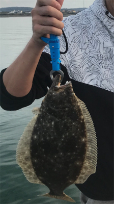 タチウオ、その他ショア ジギング