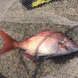 水潮のち、ぼちぼち