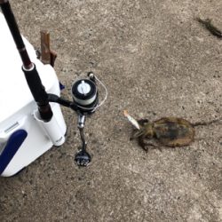 昼からのジギング*エギング‼︎