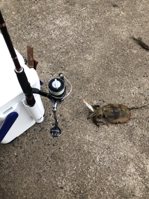 昼からのジギング*エギング‼︎