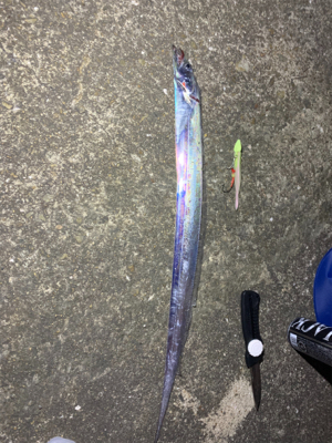 難し〜ぃ太刀魚釣り