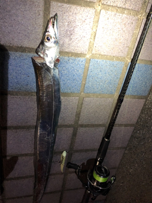 タチウオワインド