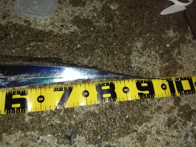 ドラゴン取ったどぉ