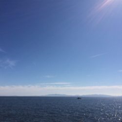 ショアジギング初心者の釣果