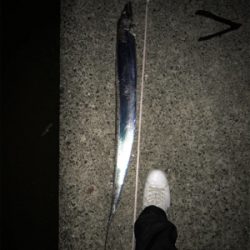 沖堤防は、ヤバイ!