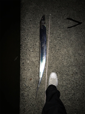 沖堤防は、ヤバイ!