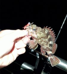 昼間の気温から激変