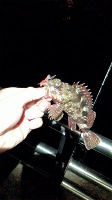 昼間の気温から激変