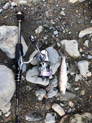 初めてのトラウト