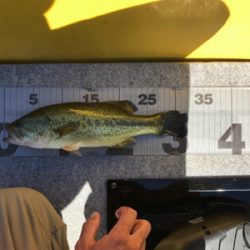 午前中ボート釣行！