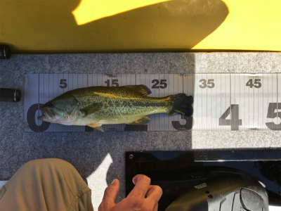 午前中ボート釣行！