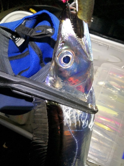 ドラゴンゲット