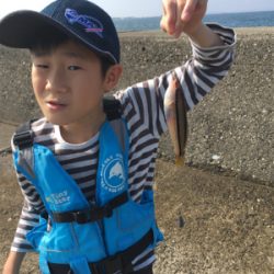 昼はのんびり。夜はバタバタ