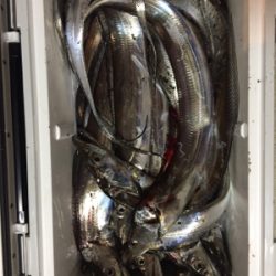 神戸港は活性高い!