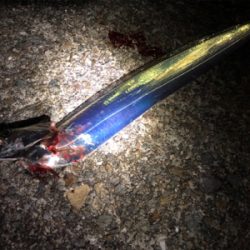 今宵もホームでタッチーチャレンジ