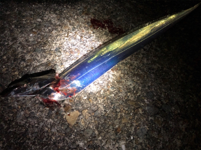 今宵もホームでタッチーチャレンジ