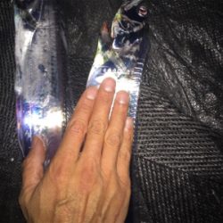 タチウオ 夕まずめ