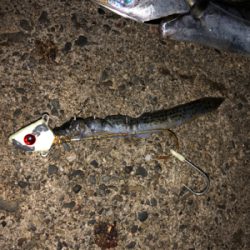 太刀魚・・・渋かった(≧Д≦)