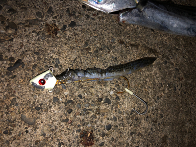 太刀魚・・・渋かった(≧Д≦)