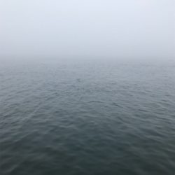 タチウオ釣りたい