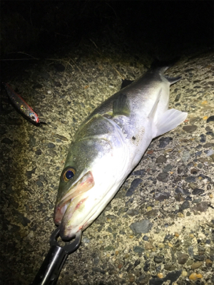 なんとかゲット！