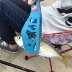 久々のサビキ釣り