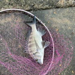 のんびりとフカセ